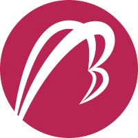 Betaton Venture Group logo