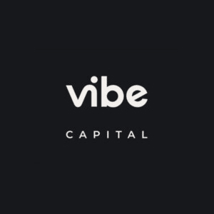 Vibe VC logo
